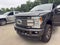 2017 Ford F-250 Platinum