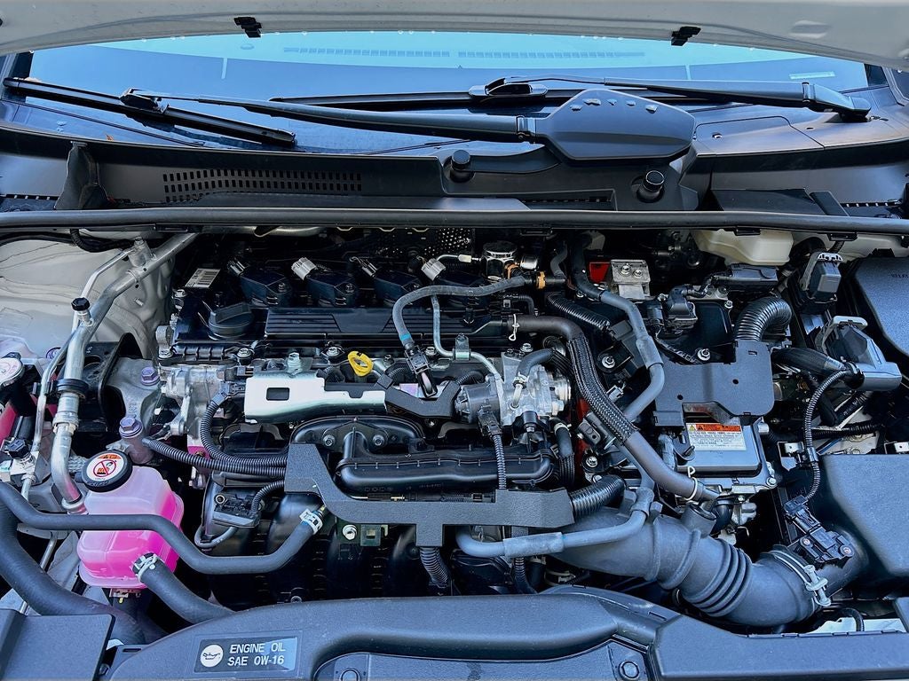 2023 Toyota Prius XLE