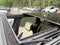 2022 Land Rover Range Rover Sport HSE Dynamic